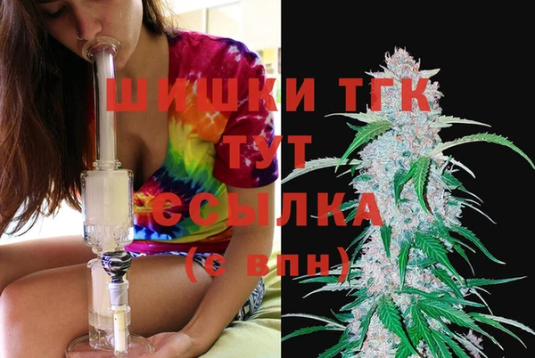 мдпв Чердынь
