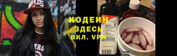 мдпв Чердынь