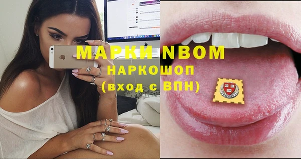 мдпв Чердынь