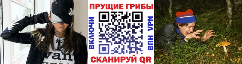 Галлюциногенные грибы Cubensis  Томилино 